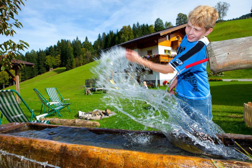 Lochgrubgut Apartment Altenmarkt im Pongau Luaran gambar